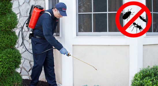 Karamürsel Fare İlaçlama böcek ilaçlama ve haşere kontrolü — ilaclama-tr.com